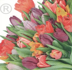 Lunch napkins 33 x 33 3-ply 1/4 fold Flowers KW-069 - 20 pcs