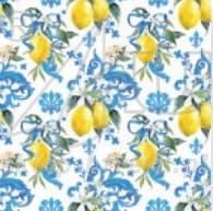 Lunch napkins 33 x 33 cm 3-ply 1/4 fold Everyday ED-094