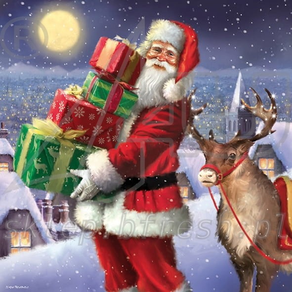 Christmas napkins 33 x 33 cm 3-ply 1/4 fold BN-124