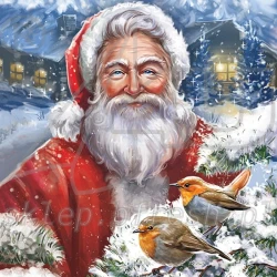  Christmas napkins 33 x 33 cm 3-ply 1/4 fold 20 pcs BN-106