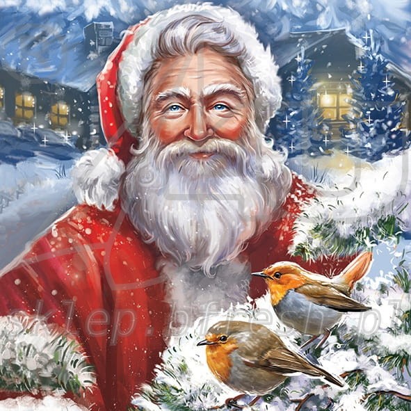 Christmas napkins 33 x 33 cm 3-ply 1/4 fold BN-106