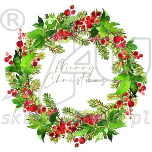 Christmas napkins 33 x 33 cm 3-ply 1/4 fold BN-133