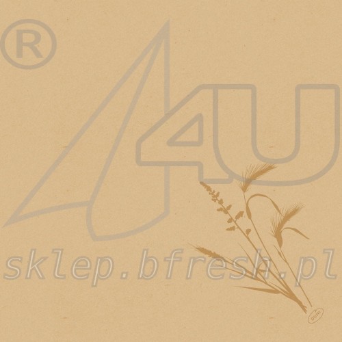 Bio-Dunisoft napkins 40 x 40 cm Meadow Natura