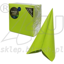 Dunilin napkins 40 x 40 cm Kiwi 45 pcs